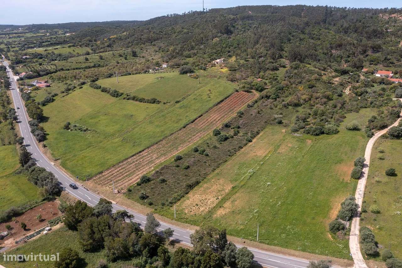 TERRENO RÚSTICO COM VINHA, ALFAMBRAS, ALJEZUR - Grande imagem: 2/8