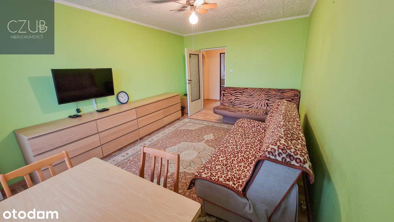 Niezależne 3 pokoje / winda / balkon / wolne / Orła Białego - Pełny obrazek: 3/13