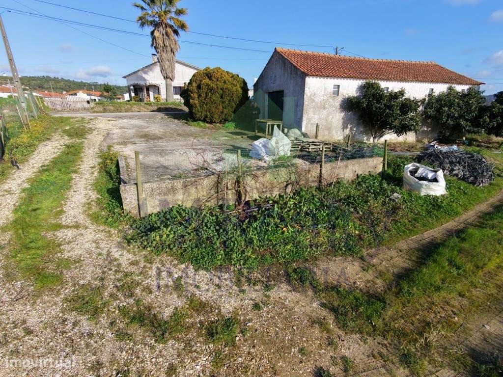 TERRENO RÚSTICO | AMOREIRA | OBIDOS - Grande imagem: 2/14