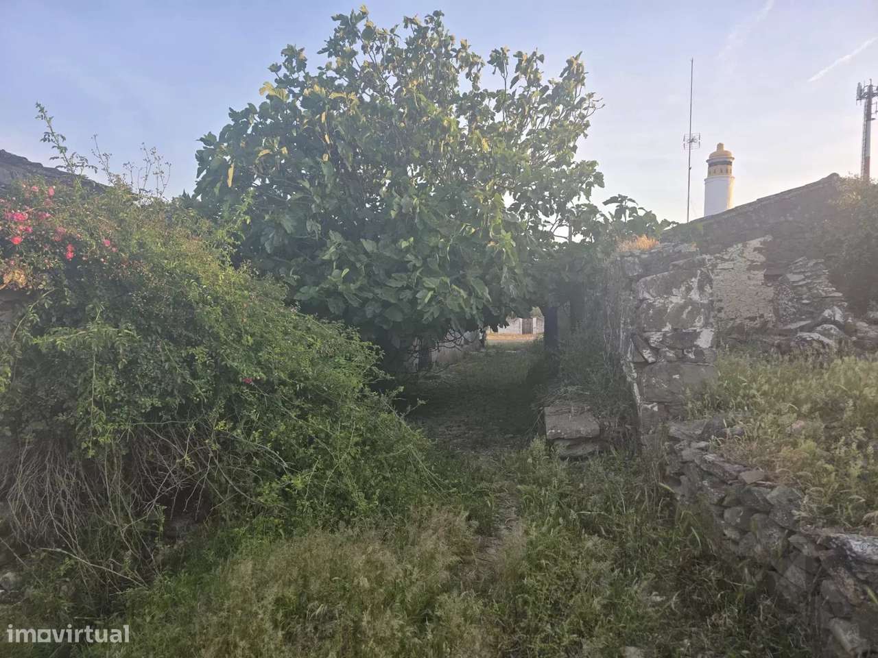 Baixo Alentejo – 55,9 ha de Liberdade e Potencial no Baixo Alentejo - Grande imagem: 4/8