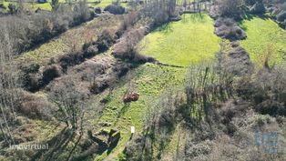 Terreno Agrícola em Espinhal - Grande imagem: 2/23