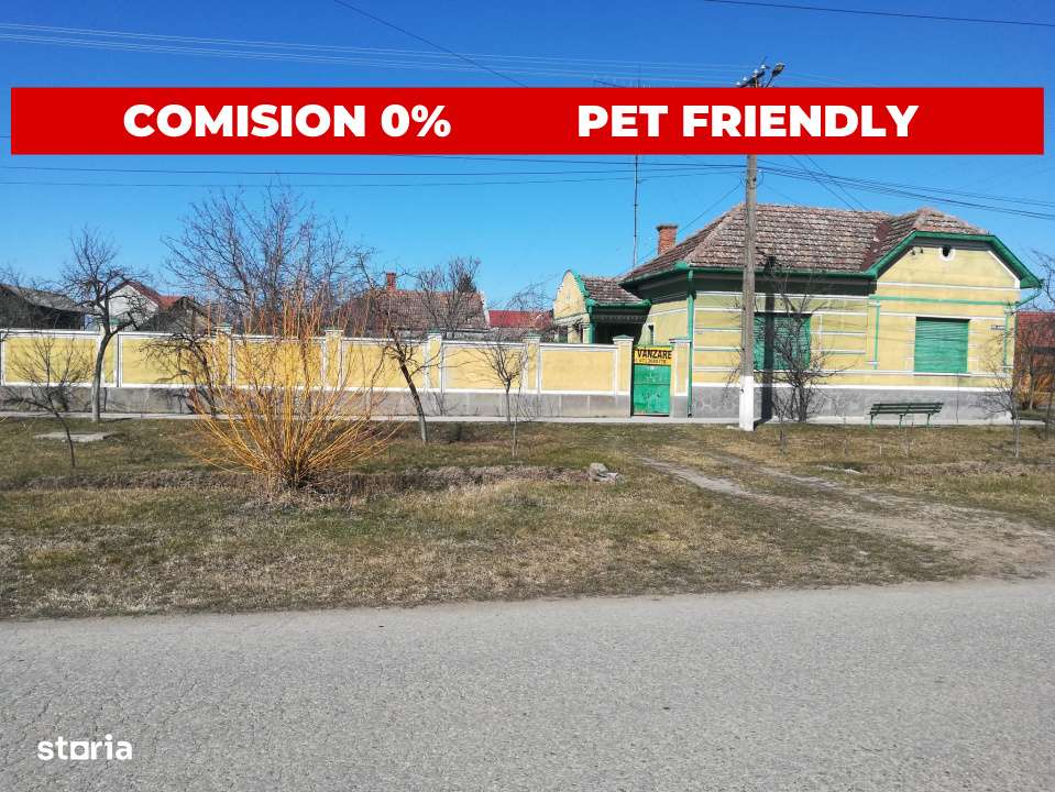 CASĂ MARE in Nadlac cu teren generos 2095mp-2
