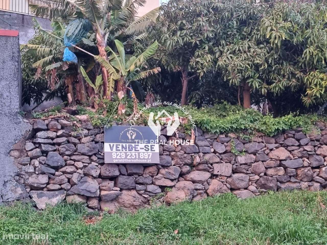 Terreno Ribeira brava - Grande imagem: 4/6