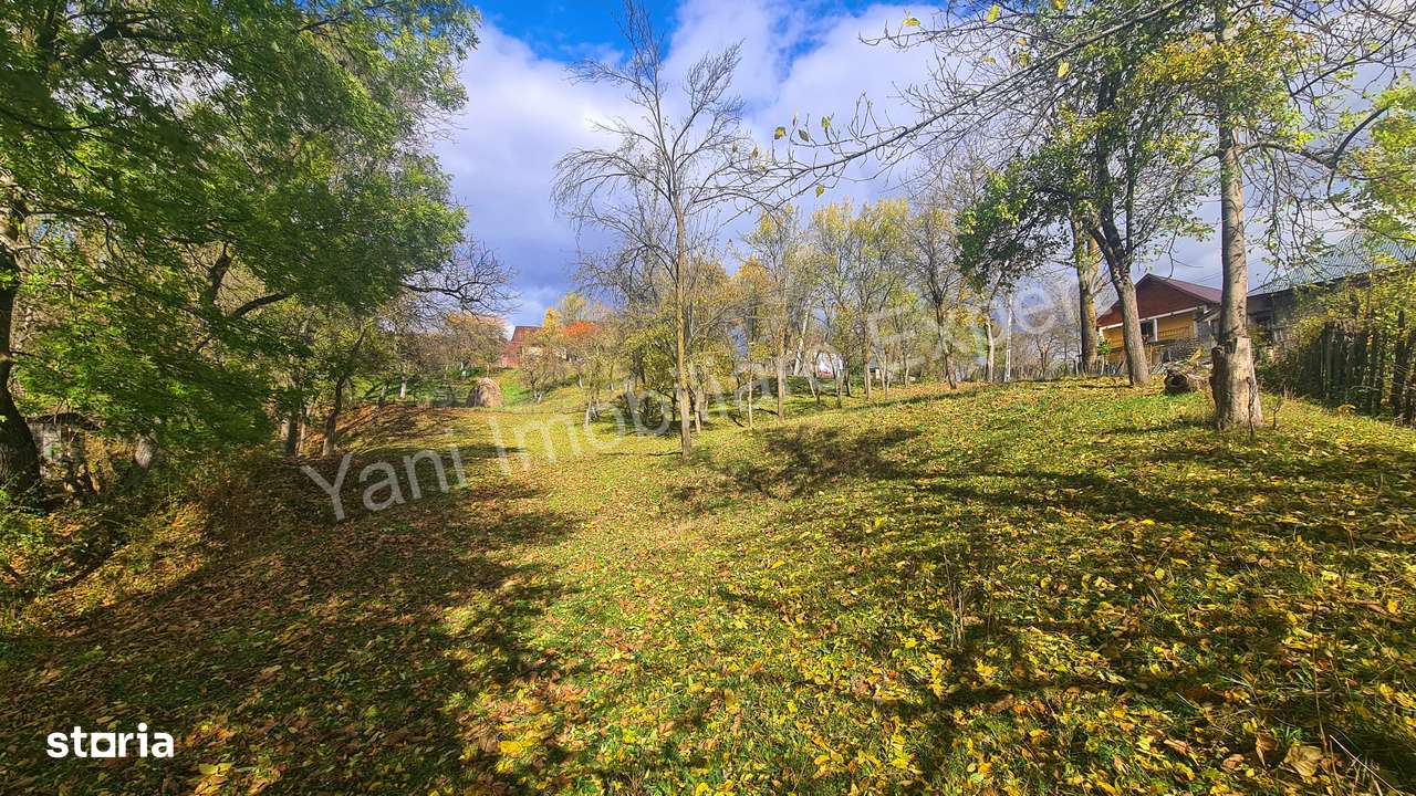 Teren de vânzare în comuna Arefu, județ Argeș. - Imagine principală: 3/20