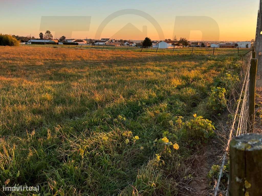 Terreno Urbanizável C/ 20.000m2 - Foros de Salvaterra - 320.000€ - Grande imagem: 3/5