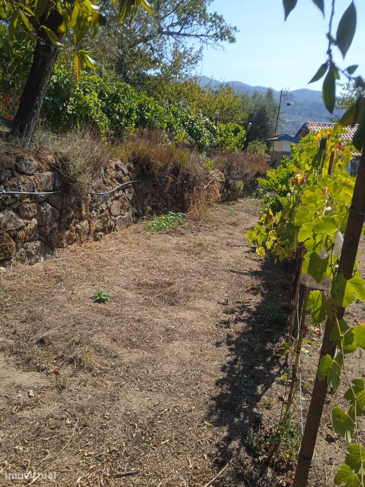 Quintinha - São Tomé de Covelas, Baião-14