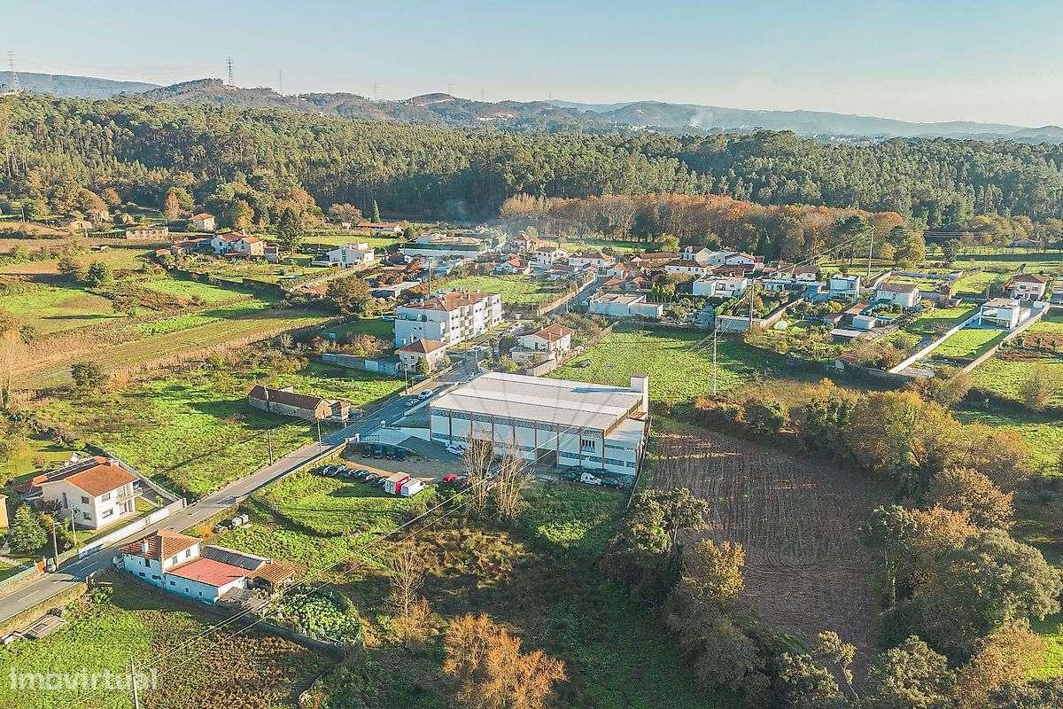 Armazém  para arrendamento - Grande imagem: 3/31