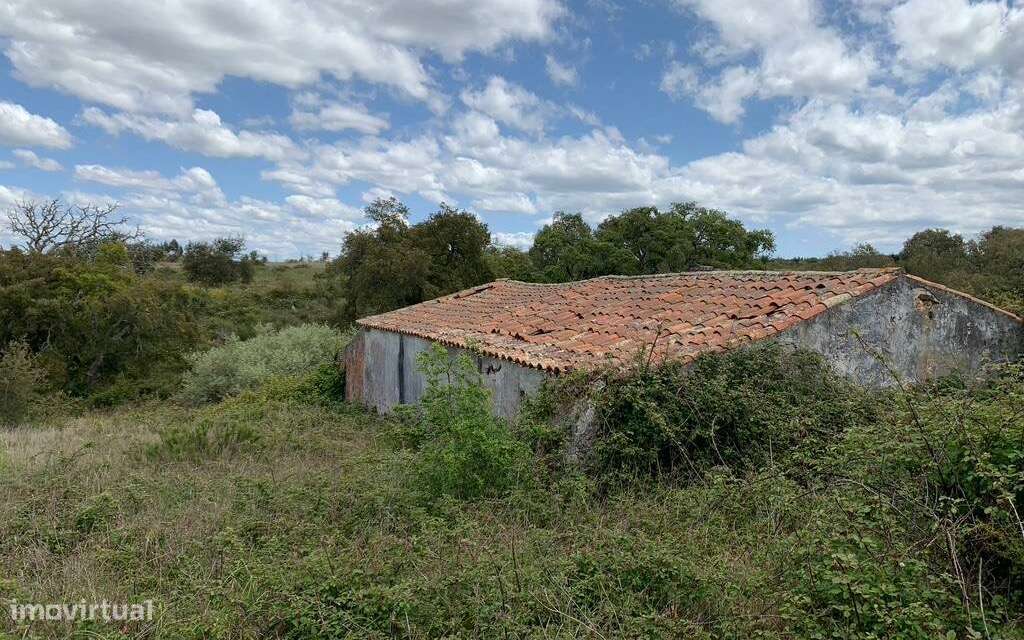 Quintinha no Alentejo - Grande imagem: 4/11
