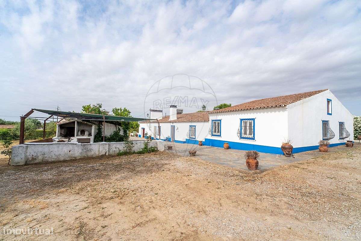 Quinta T8 para venda-15