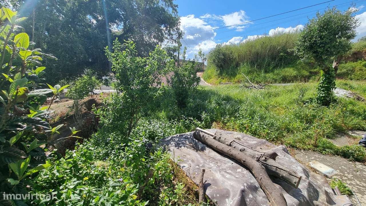 2 Moradias para remodelar com logradouro - Carvalhal Benfeito-5