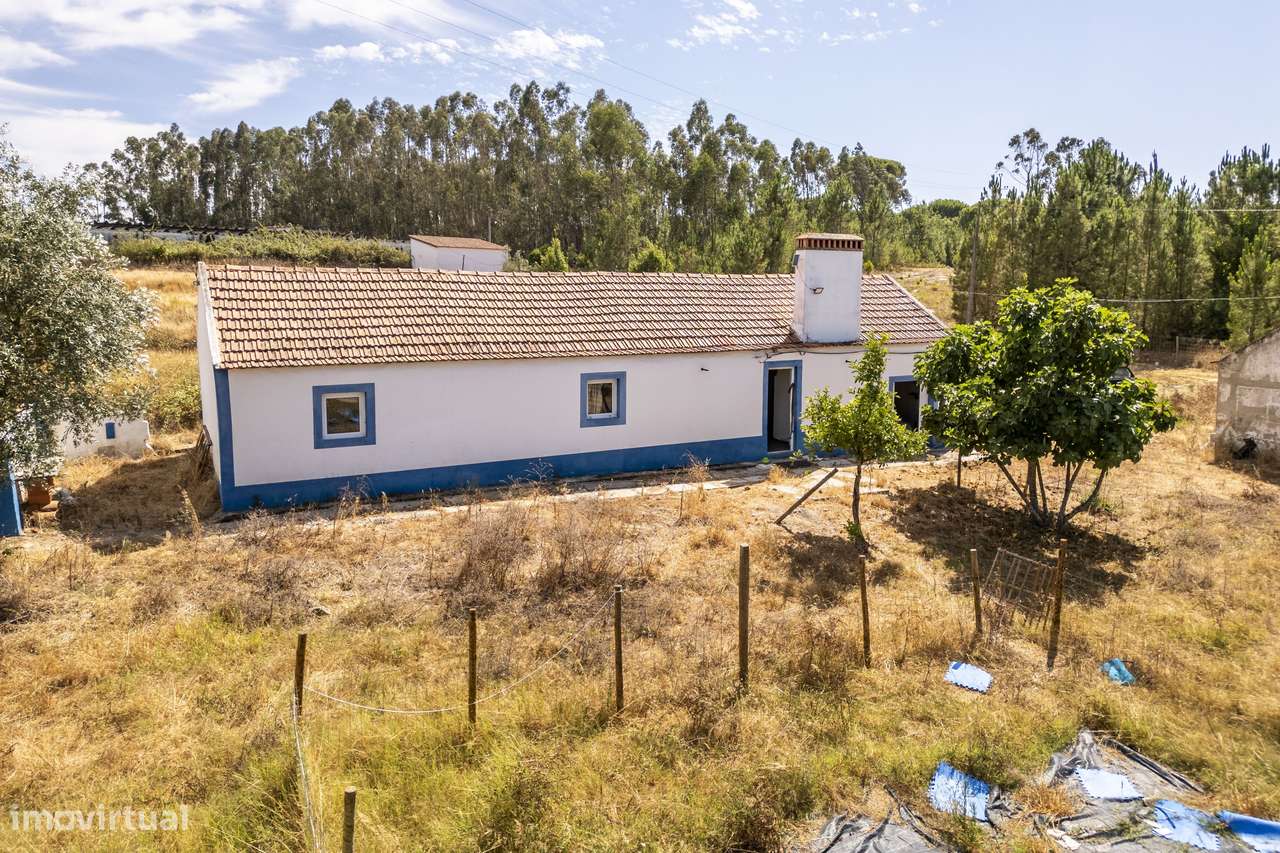 Quinta  5hct Rústica / Urbana com Potencial Único -  Branca - Coruche - Grande imagem: 5/24