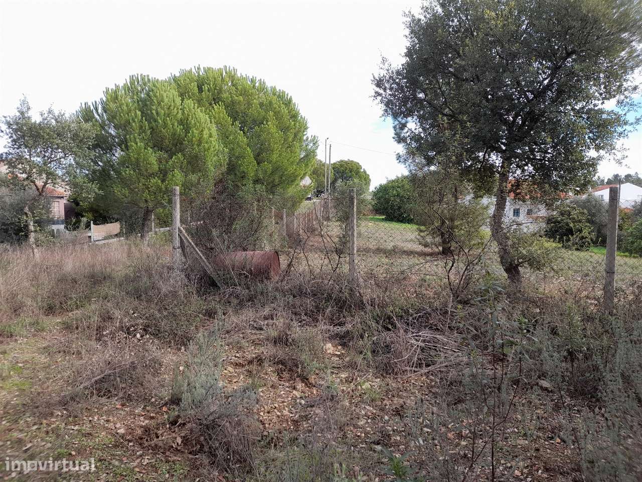 Terreno Rústico T0 Venda em Sarnadas de Ródão,Vila Velha de Rodão - Grande imagem: 4/14