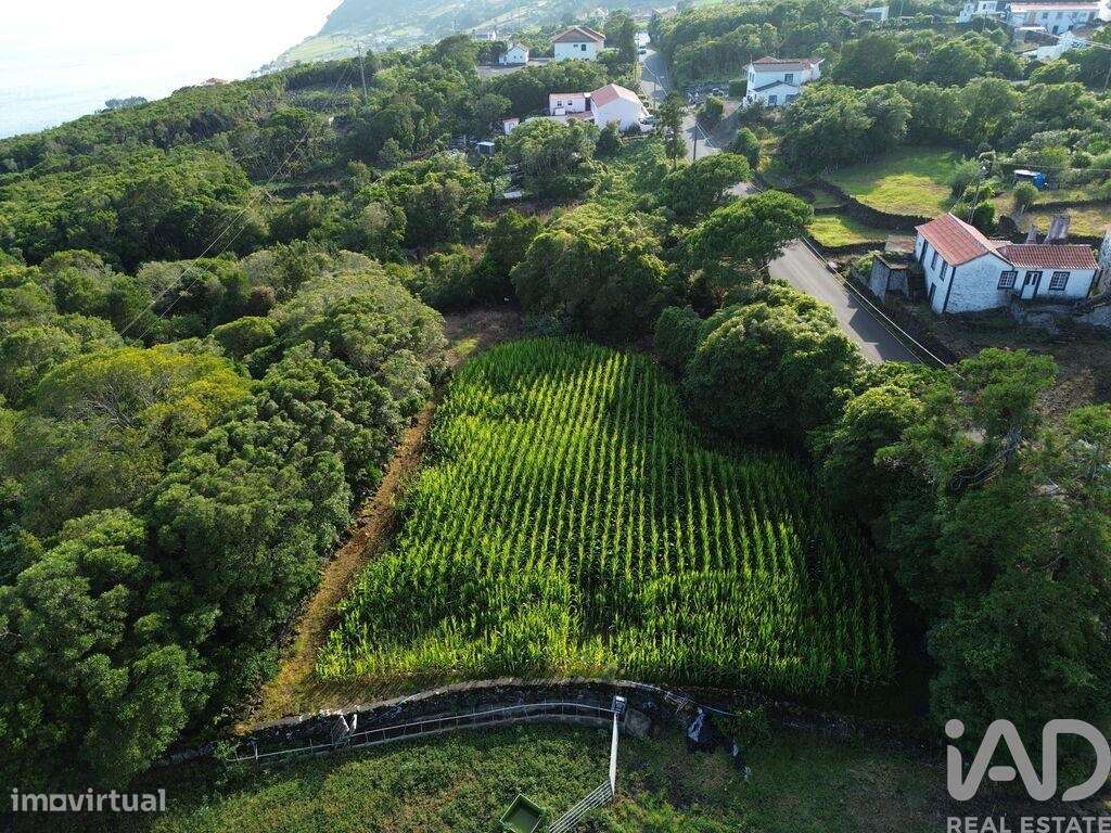 Terreno em Ribeiras - Grande imagem: 4/8
