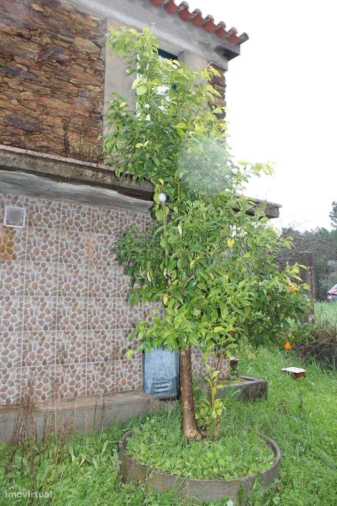 Casa de Campo na Lameirinha-35