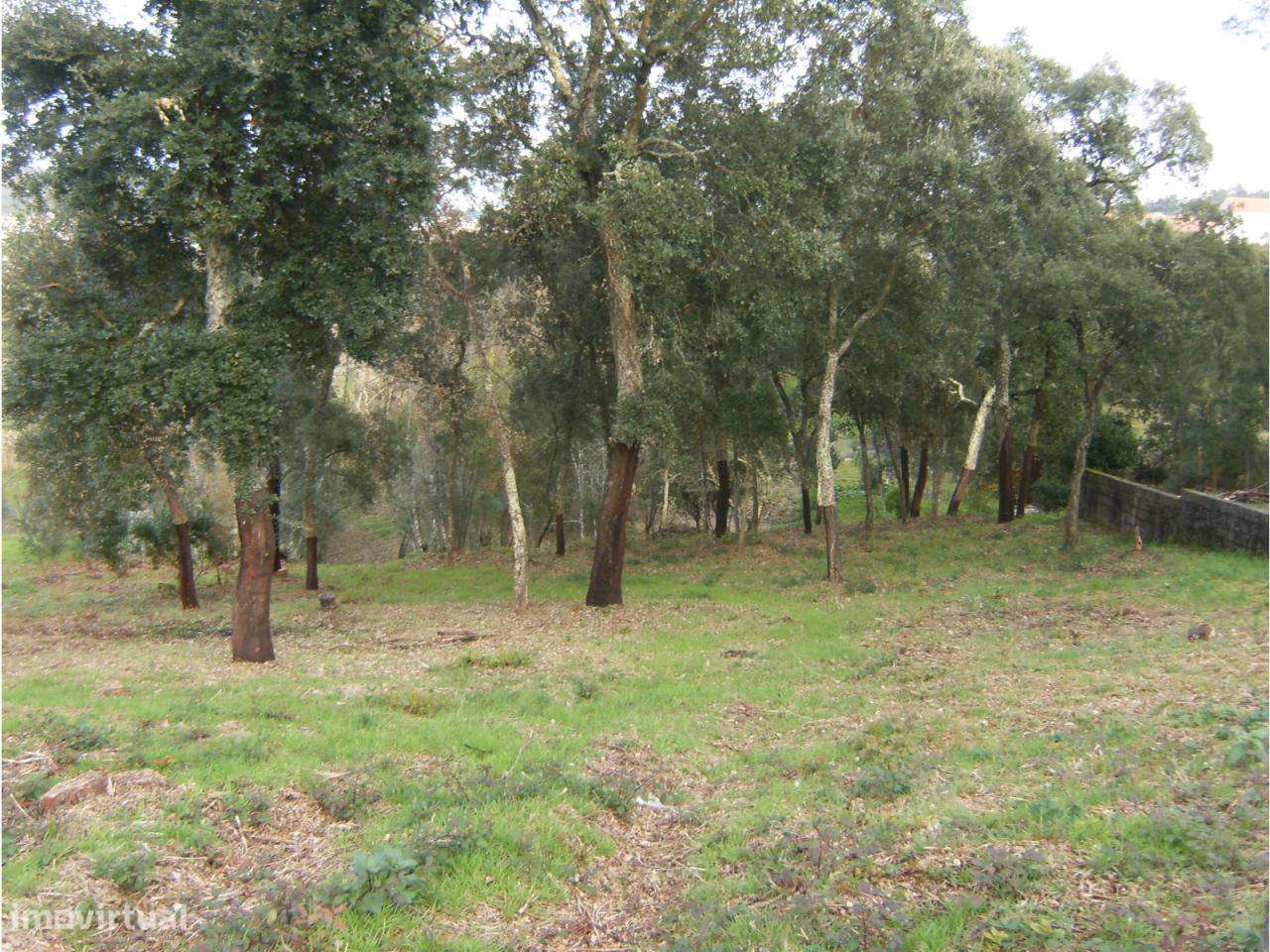 Terreno a 2 Minutos de Ourém - Grande imagem: 2/3
