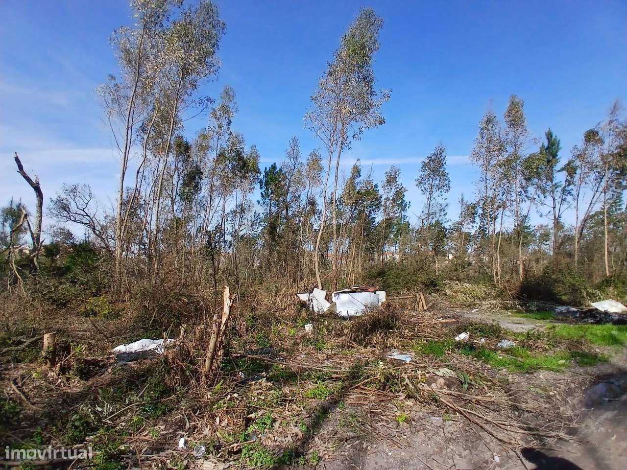 Terreno com 10.712 m2 – Embra, Marinha Grande - Grande imagem: 4/27