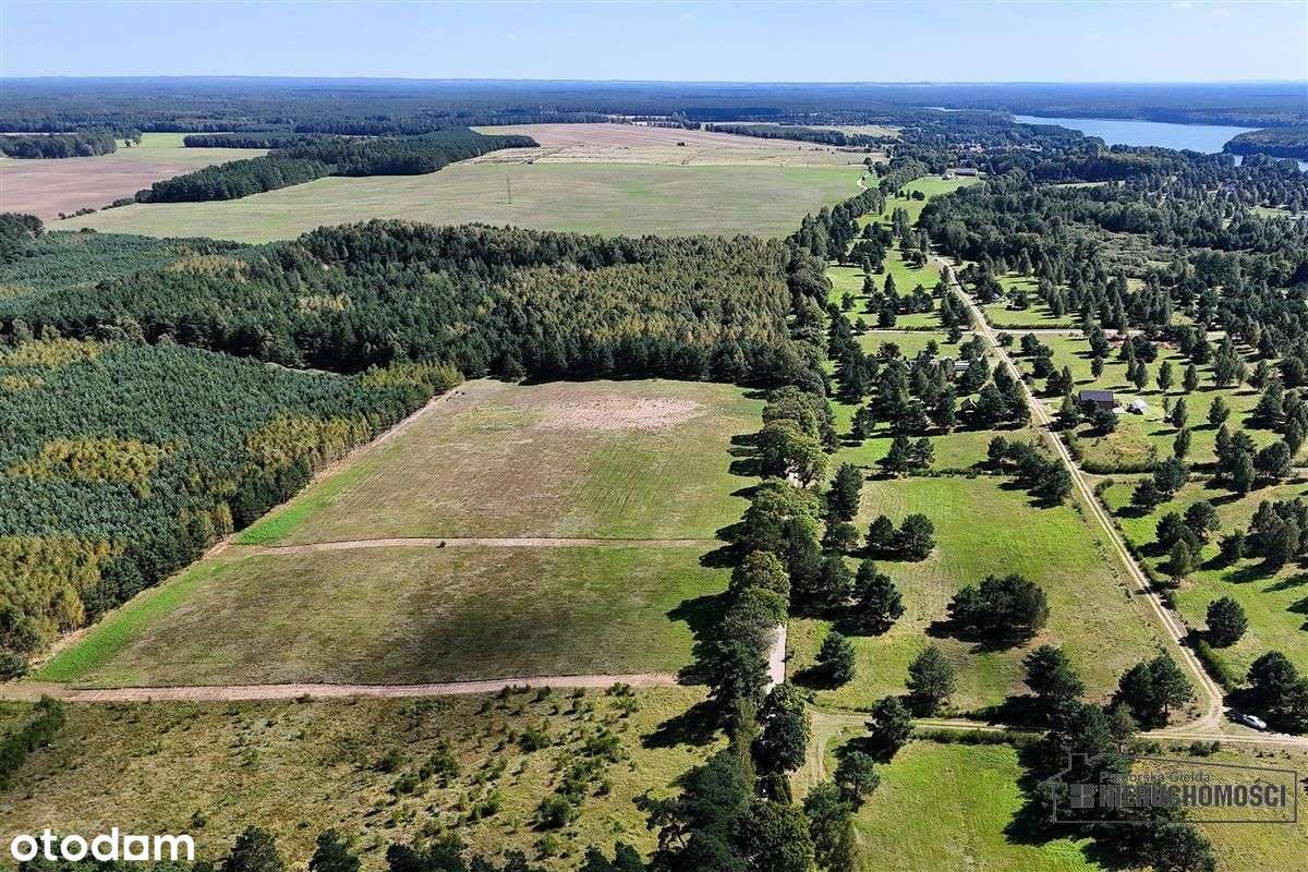 Okolica jeziora Dołgie i kompleksów leśnych. - Pełny obrazek: 5/20