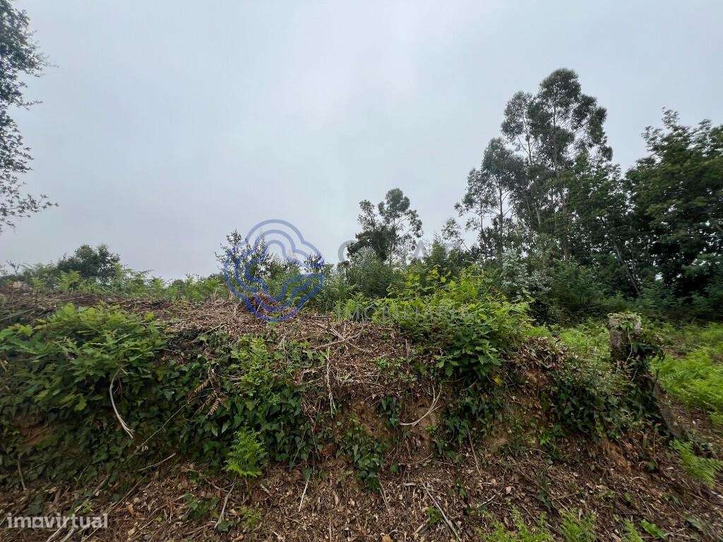 Terreno Rústico para Construção - Grande imagem: 3/18