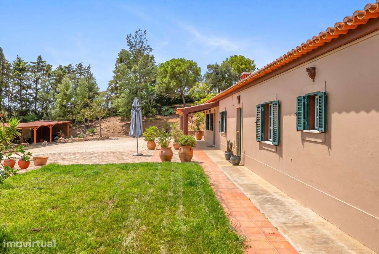 Herdade com moradia T4+1, piscina e lago-40