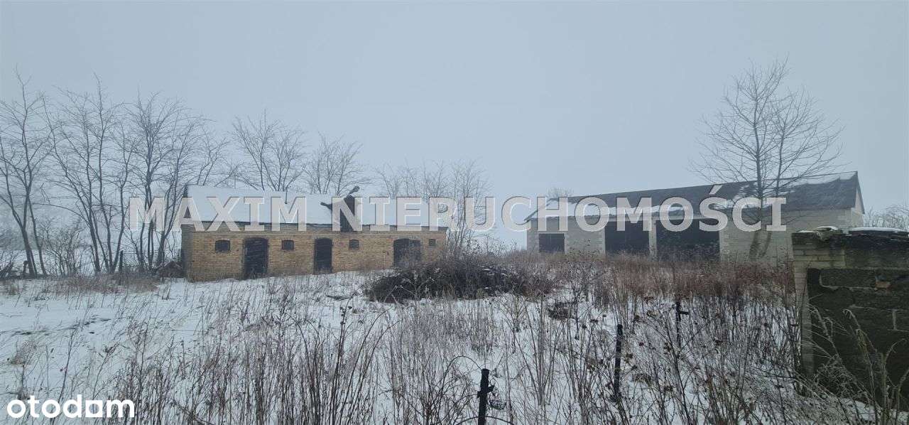 Bardzo ciekawe stare Siedlisko -Bulkowo-3