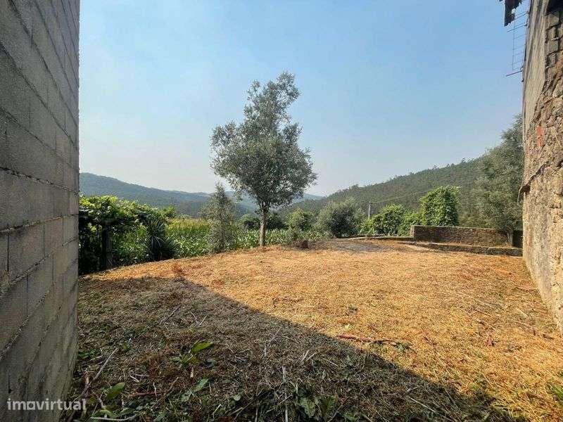 Casa na Serra - Cortez -Talhadas-8