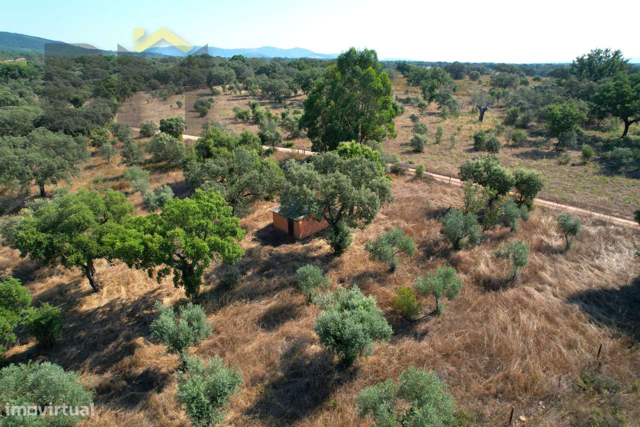 Terreno Rústico  Venda em Toulões,Idanha-a-Nova - Grande imagem: 3/18