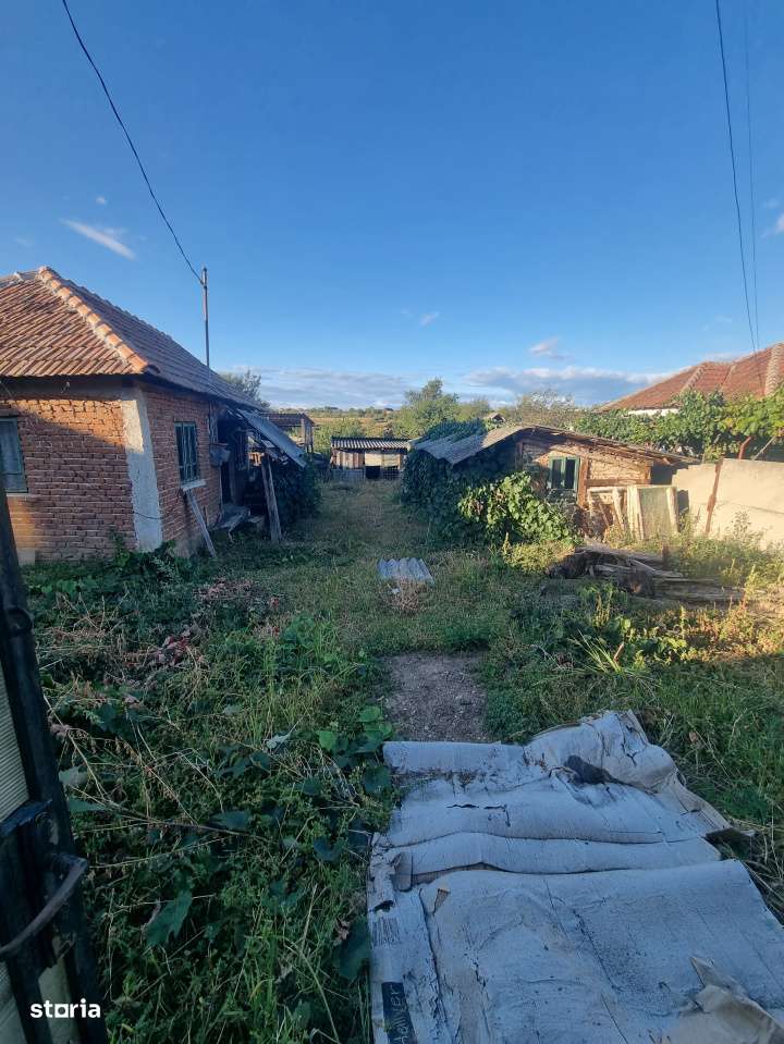 Teren intravilan , 1100mp , front 12,60 m , intrare Filiasi - Imagine principală: 3/7