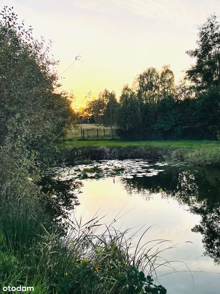 Duży dom 274 m2 z pięknym ogrodem i stawem -Słone , Zielona Góra-14