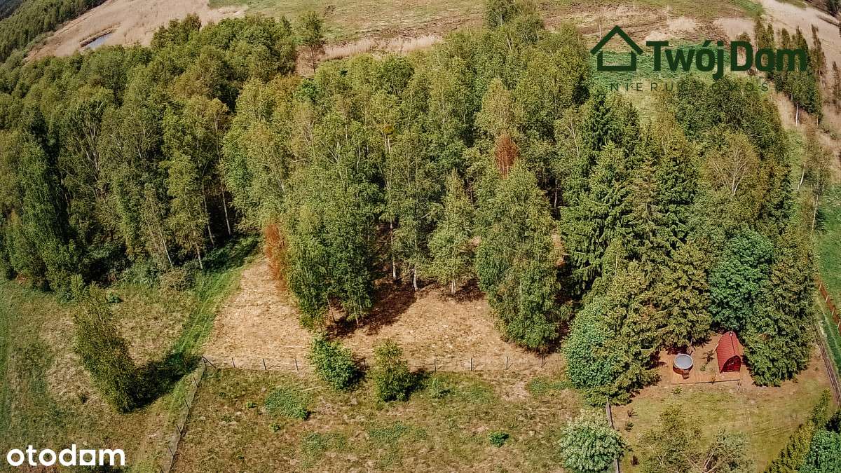 Nieruchomość gruntowa w Szczechach Małych - Pełny obrazek: 3/6