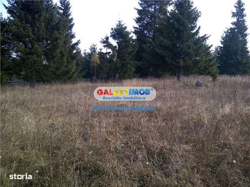 Teren pentru Complex Turistic - 12 730 mp  - Vatra Dornei - Imagine principală: 4/11