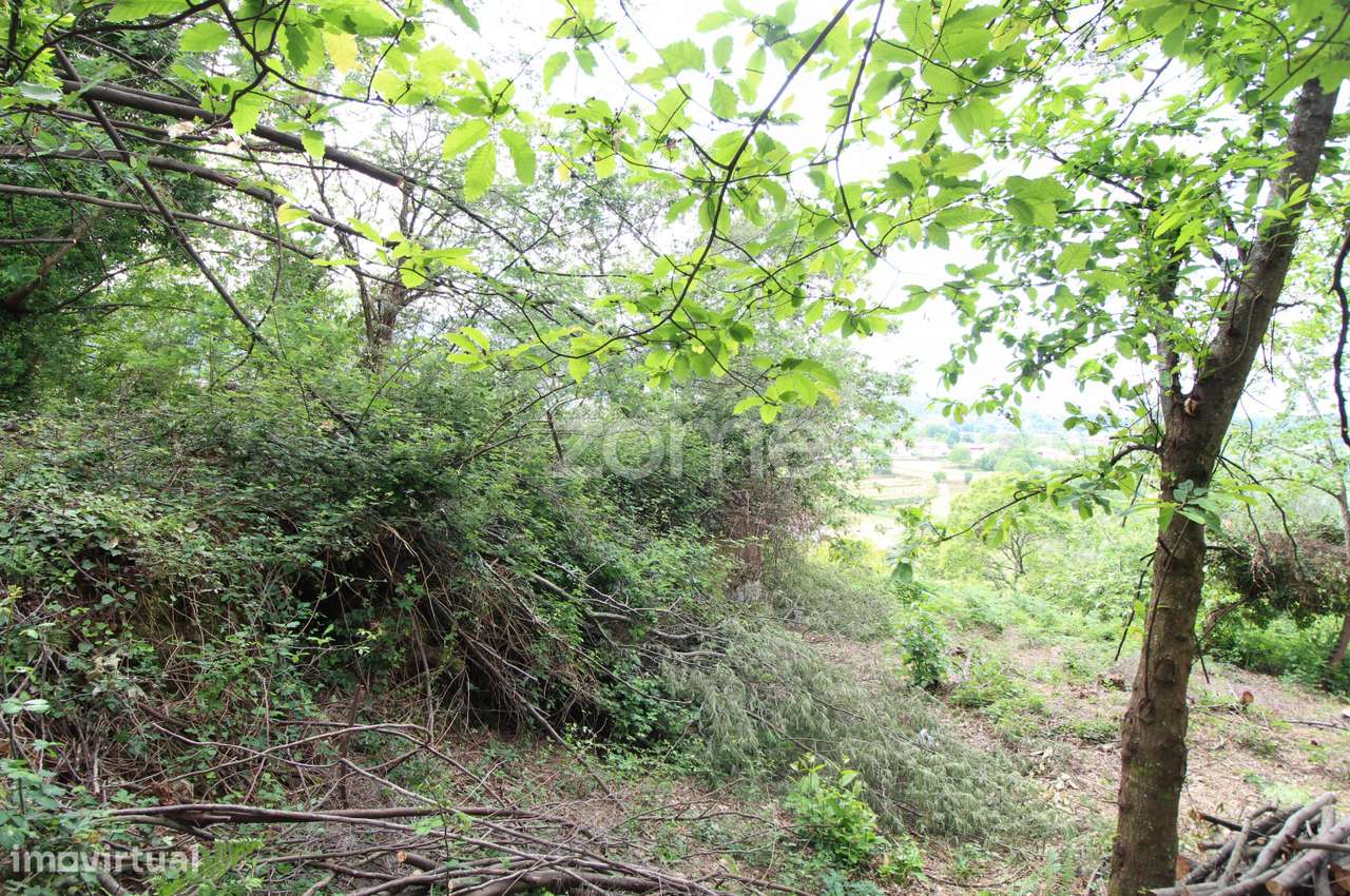 Moradia em Ruinas para recuperar em Rebordões (Souto)-Ponte de Lima - Grande imagem: 4/15