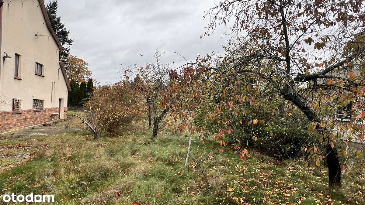 Działka narożnikowa z potencjałem w pobliżu lasu-12