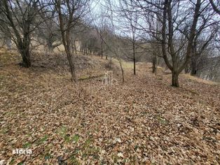 Teren de vanzare intravilan, 10 000 Mp , Sighisoara - Imagine principală: 3/10