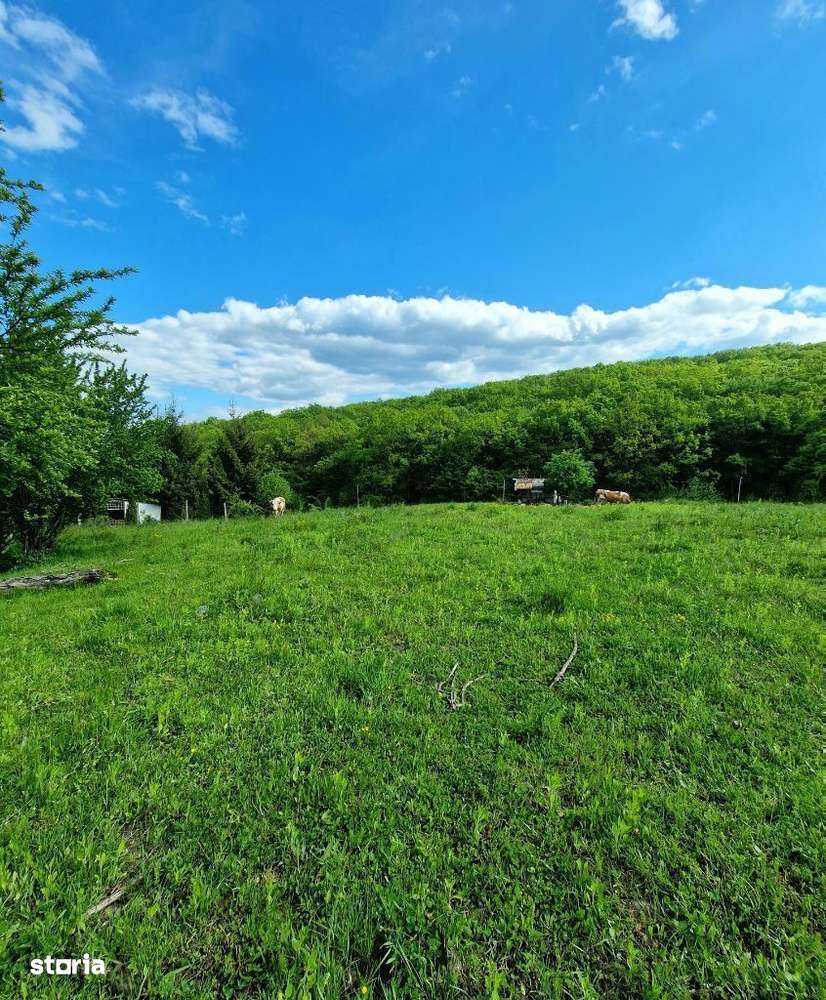 Teren intravilan lângă Shuleward - Imagine principală: 3/3