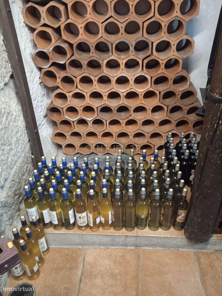 Quintinha - São Tomé de Covelas, Baião-43