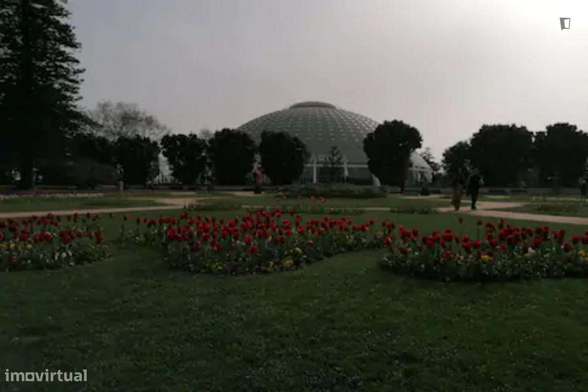 Casa com 2 quartos - localizado em Massarelos Porto - Grande imagem: 4/7