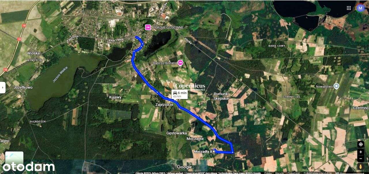 Grunt-6 ha z domem i budynkami,gm.Skępe,potencjał-13