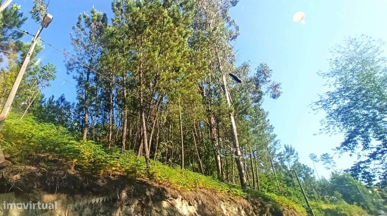 Terreno em Orgens - Grande imagem: 2/5