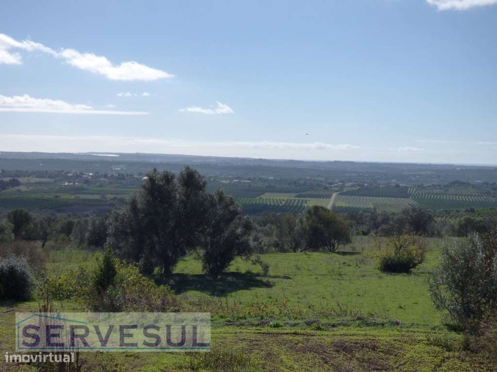 Boa oportunidade de investimento! Casa geminada para renovar, inser... - Grande imagem: 4/37