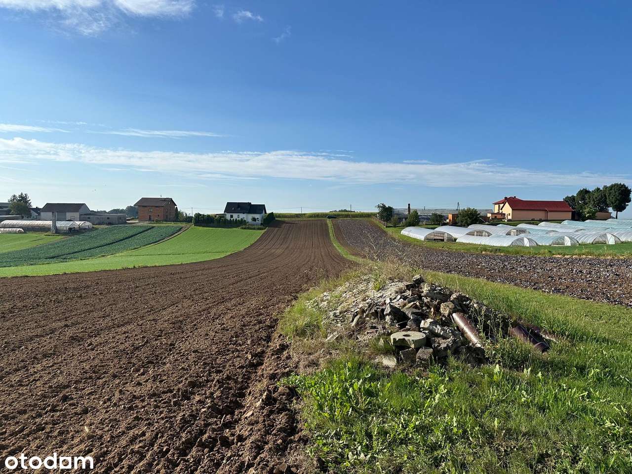 Działka budowlano rolna  / dom do remontu - Pełny obrazek: 5/14