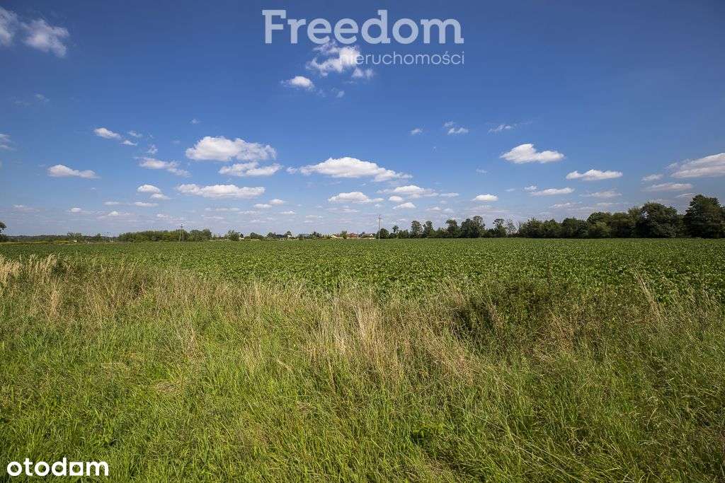 Działka 6,33 ha obok pola golfowego Trzciana-7