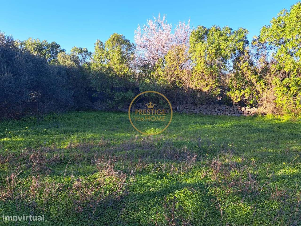 Terreno de 1.4ha com artigo urbano de 660m2 - São Brás de Alportel - Grande imagem: 5/24