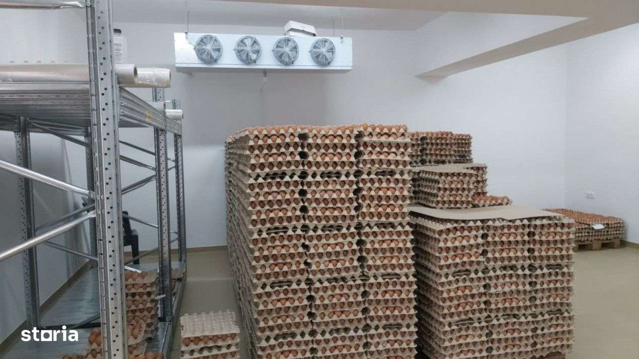 DE VÂNZARE Hala producție oua consum - Imagine principală: 2/11