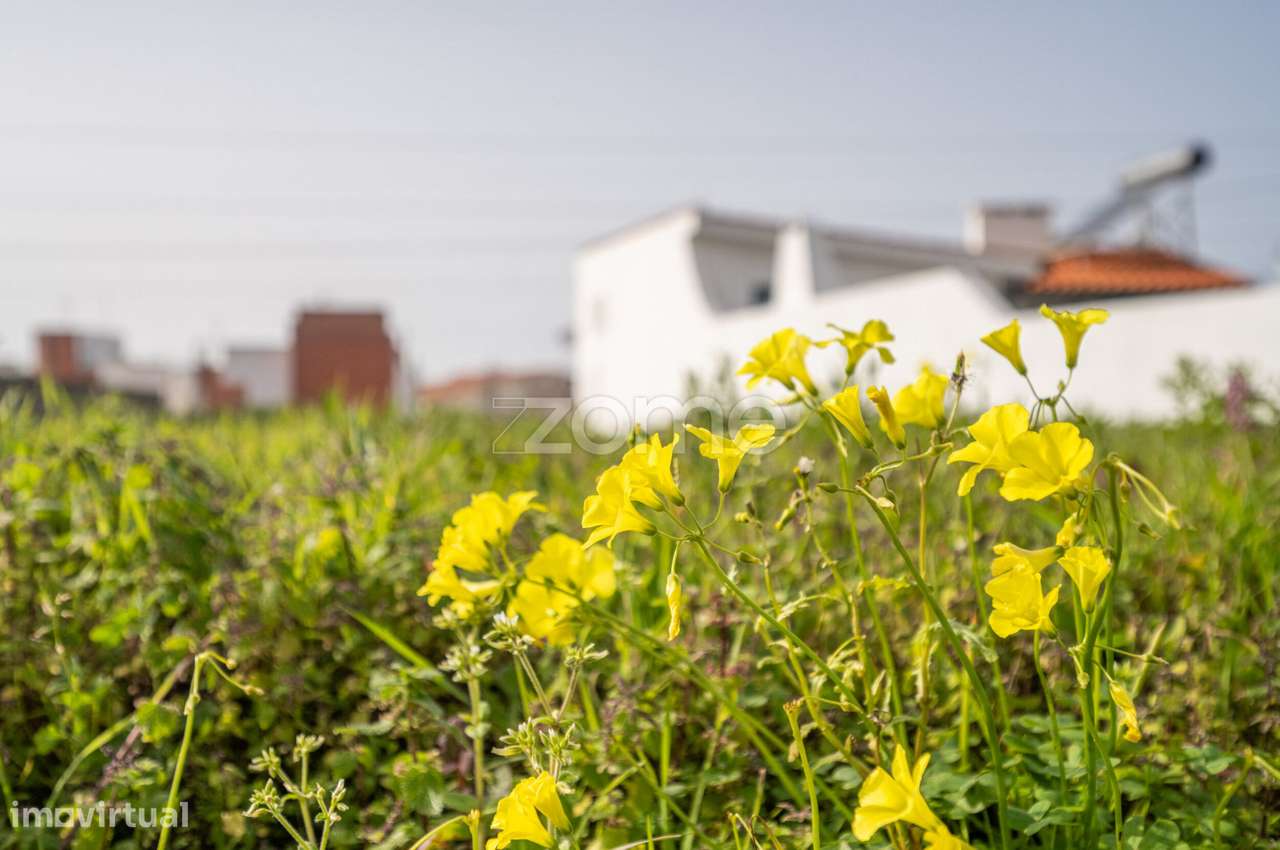 Terreno com 230 m2, 3ª linha de mar, praia de Moledo, Caminha - Grande imagem: 4/24