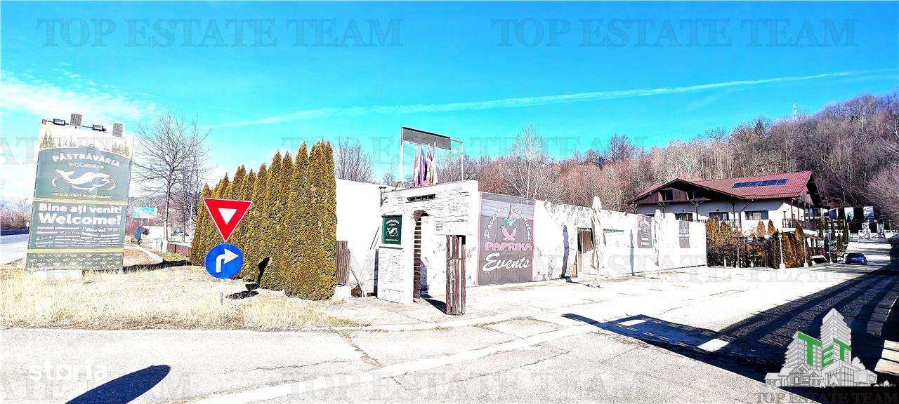 Afacere la cheie cu profit din prima zi, 2 pensiuni 27 camere, salon d - Imagine principală: 4/20