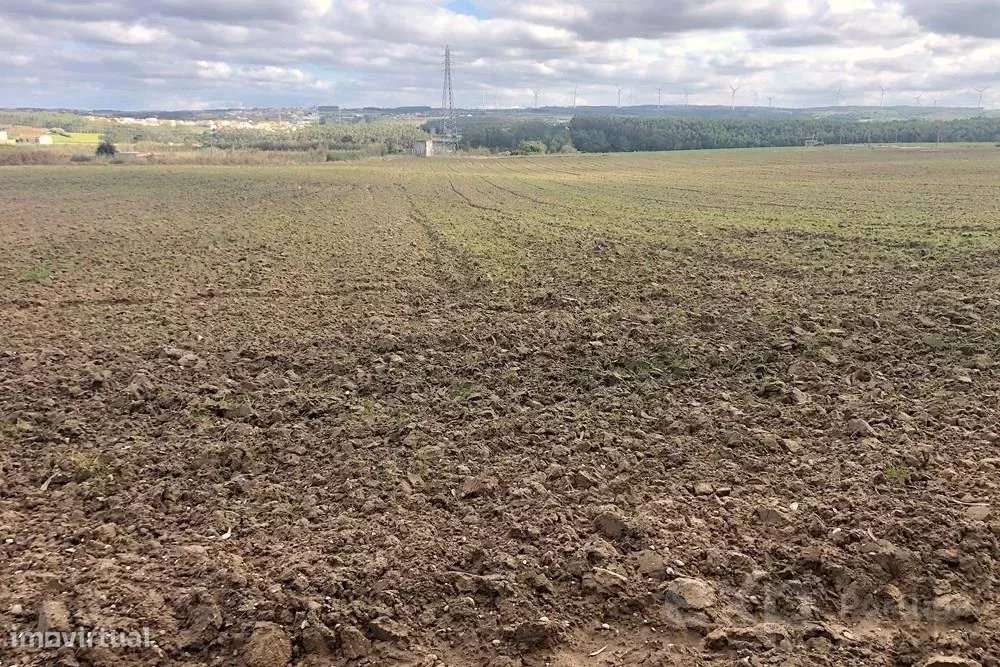 Terreno Rústico de 14.000 m² na Vila de Atouguia da Baleia - Grande imagem: 2/23