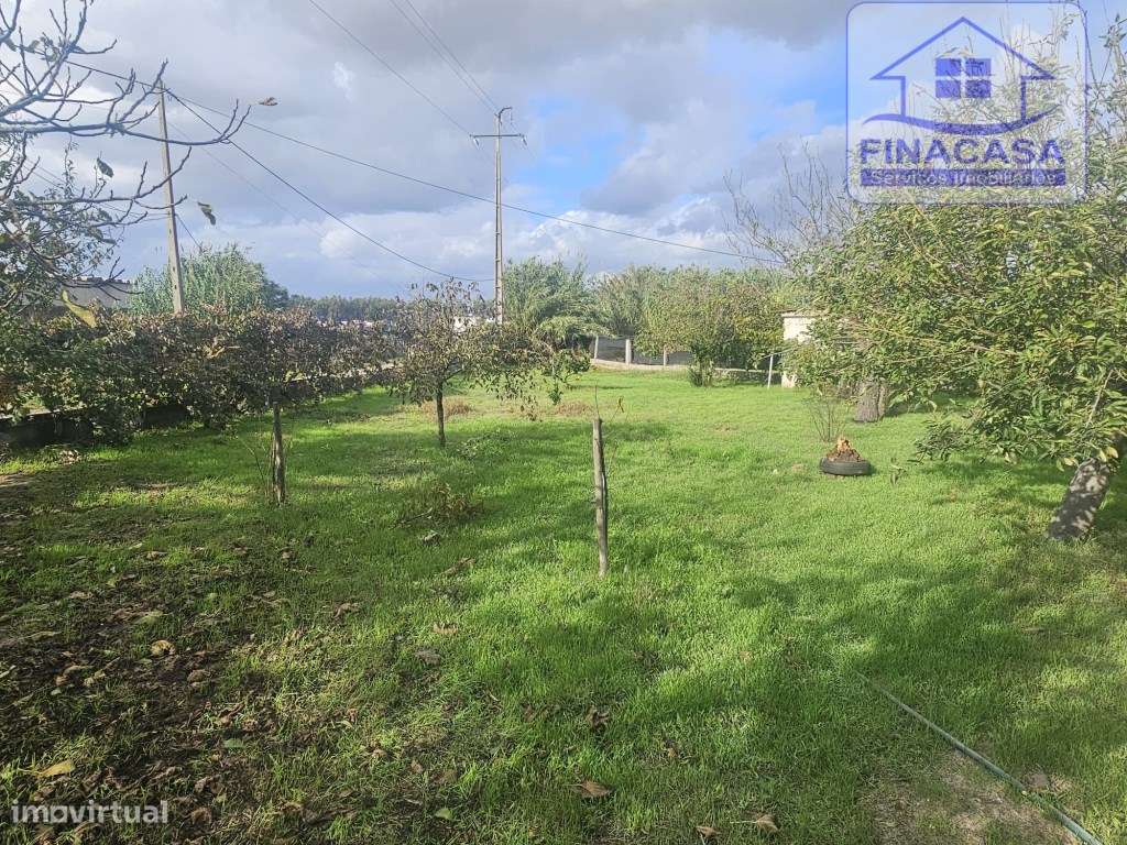 EXCLUSIVO - Quinta com 2069 m2, T1 e um armazém - Asseiceira(Palmela)-9