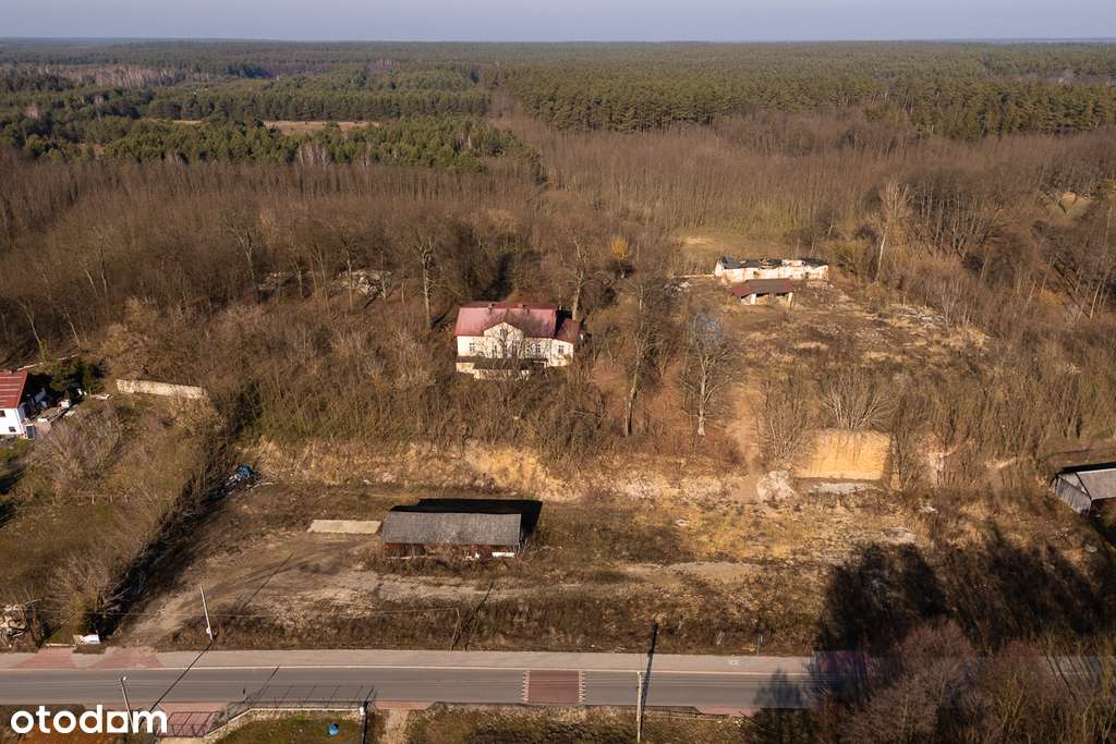 Działka budowlana 4 616 m2 Zakościele nad Pilicą - Pełny obrazek: 5/11