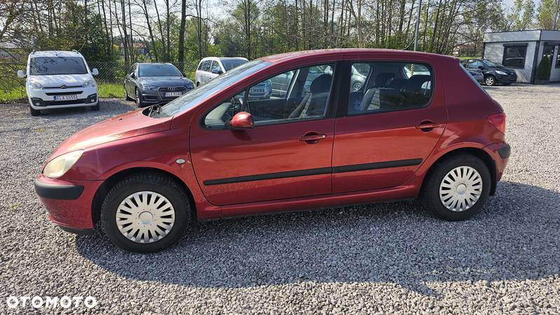 Peugeot 307 1.6 Trendy - 3