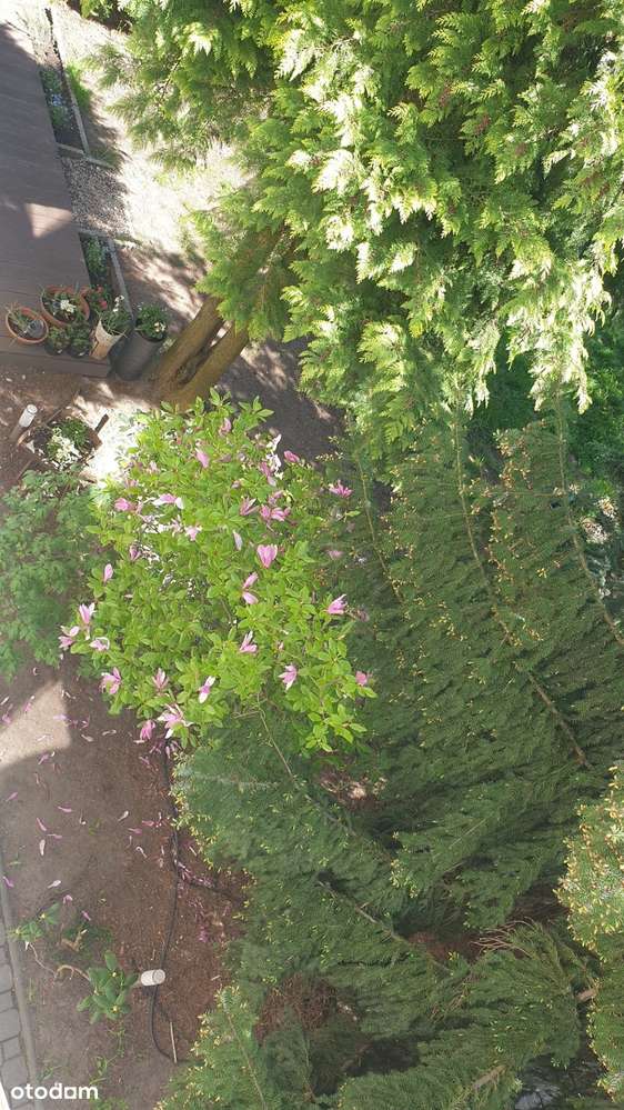 Dom w zabudowie bliźniaczej Stare Włochy-14